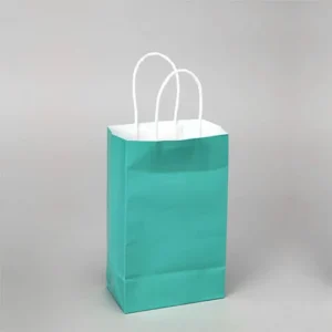 PAPER BAGS WITH HANDLES FOR FAVORS & GIFTS 8" - AQUA