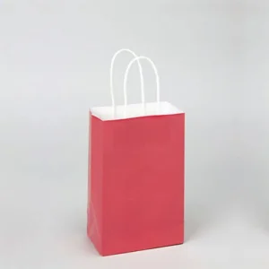 PAPER BAGS WITH HANDLES FOR FAVORS & GIFTS 8" - CORAL
