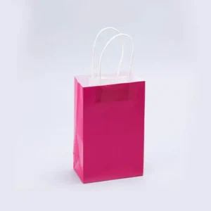 PAPER BAGS WITH HANDLES FOR FAVORS & GIFTS 8" - FUCHSIA