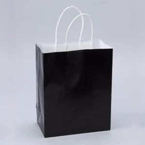 PAPER BAGS WITH HANDLES FOR FAVORS & GIFTS 10" - BLACK