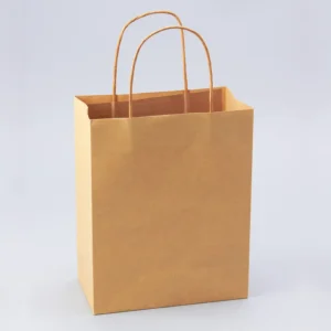 PAPER BAGS WITH HANDLES FOR FAVORS & GIFTS 10" - NATURAL
