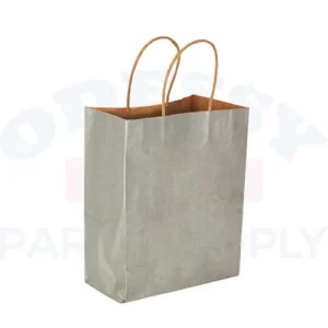 PAPER BAGS WITH HANDLES FOR FAVORS & GIFTS 10" - SILVER
