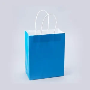 PAPER BAGS WITH HANDLES FOR FAVORS & GIFTS 10" - TURQUOISE