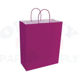 PAPER BAGS WITH HANDLES FOR FAVORS & GIFTS 15-3/4" - FUCHSIA